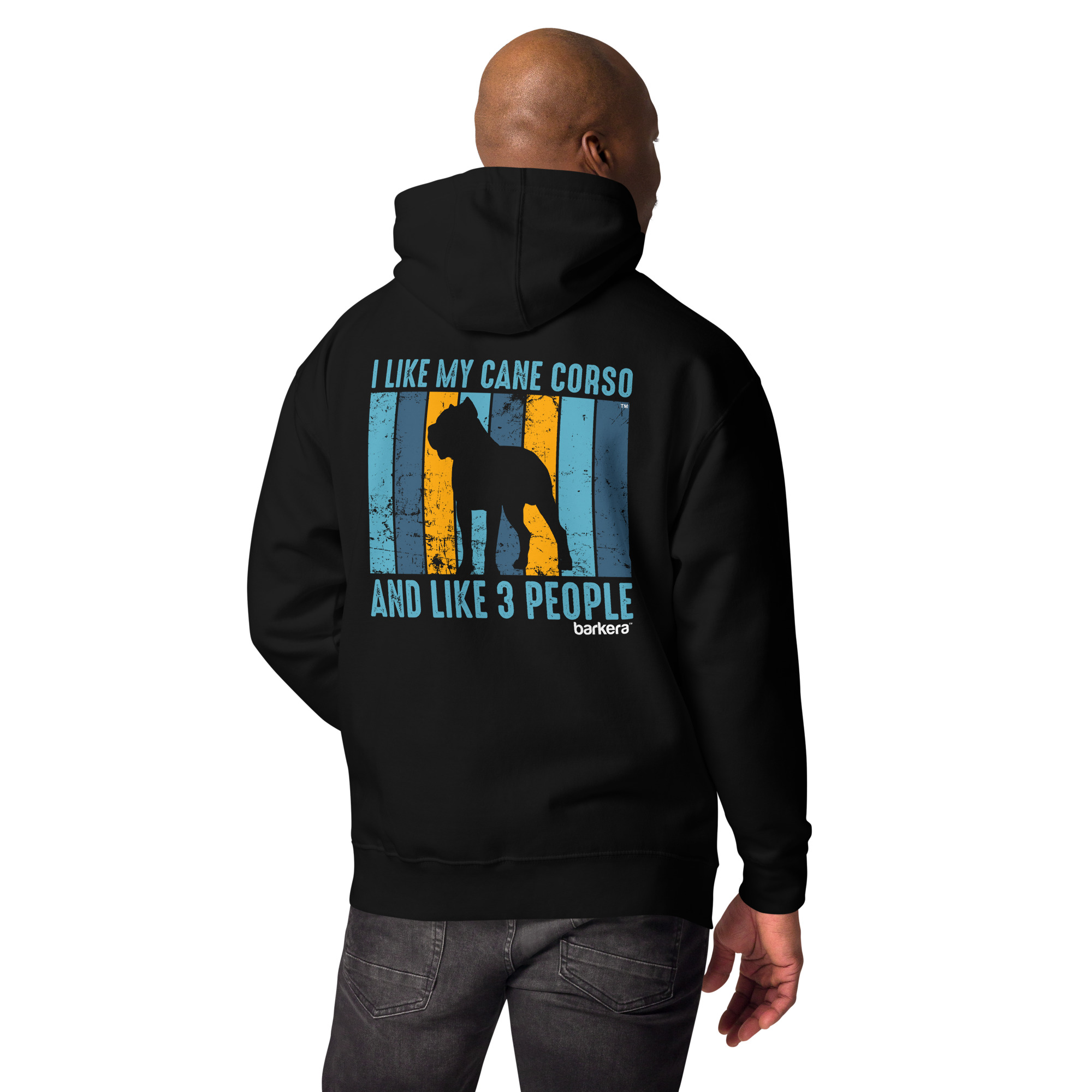 unisex-premium-hoodie-black-back-651c7f697d692.jpg