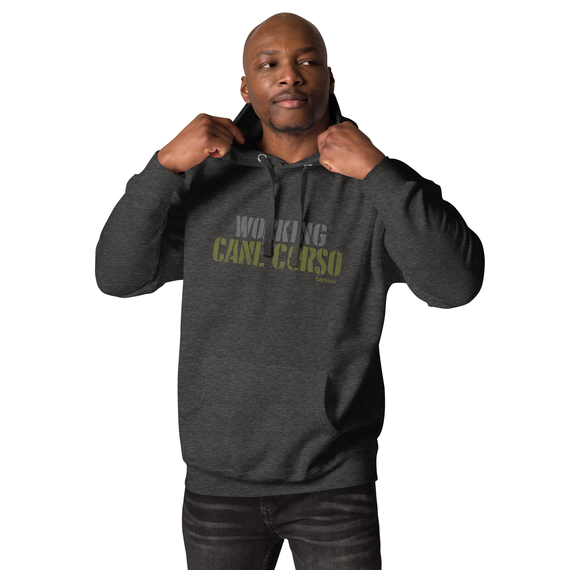 unisex-premium-hoodie-charcoal-heather-front-651ccf582196e.jpg
