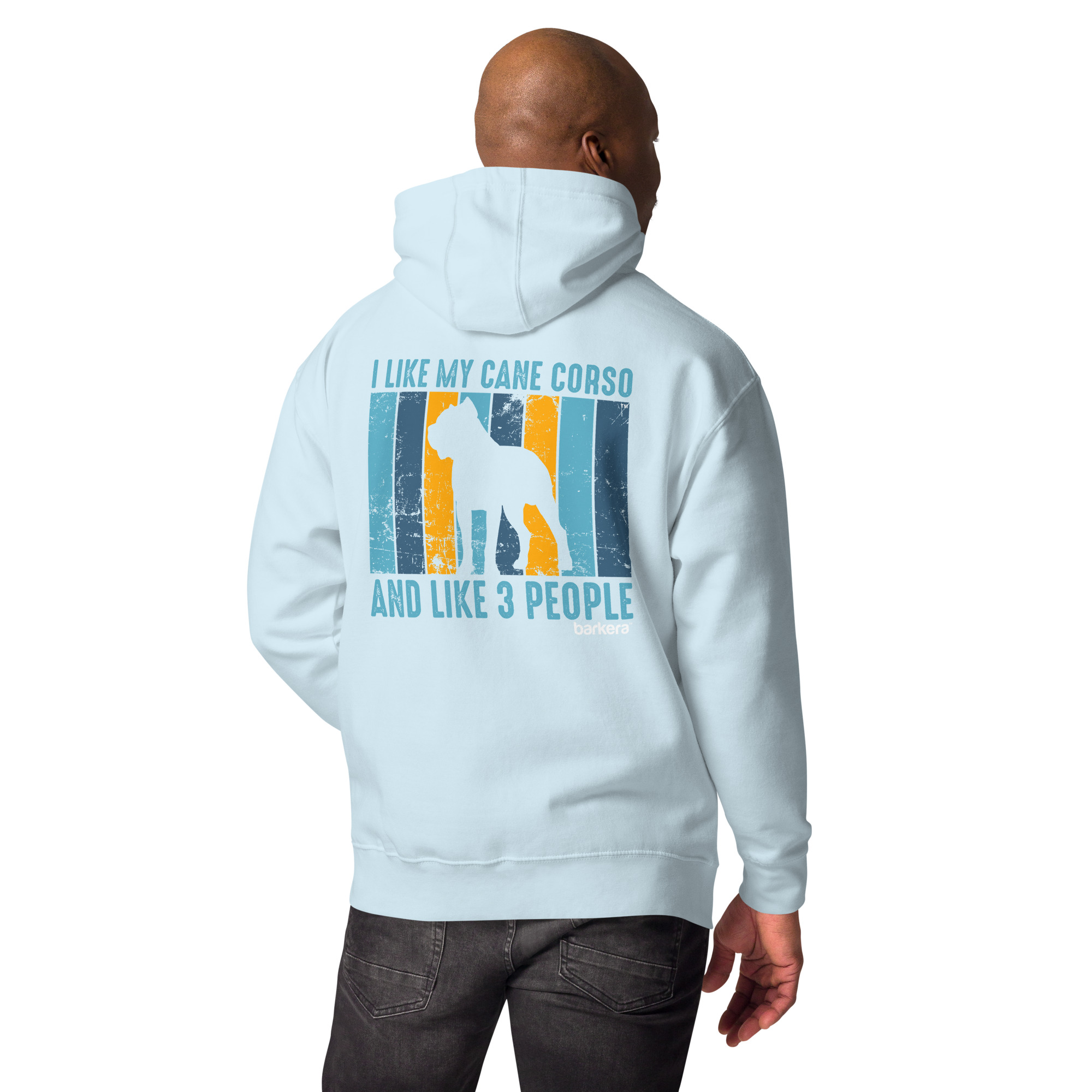 unisex-premium-hoodie-sky-blue-back-651c7f697dc86.jpg