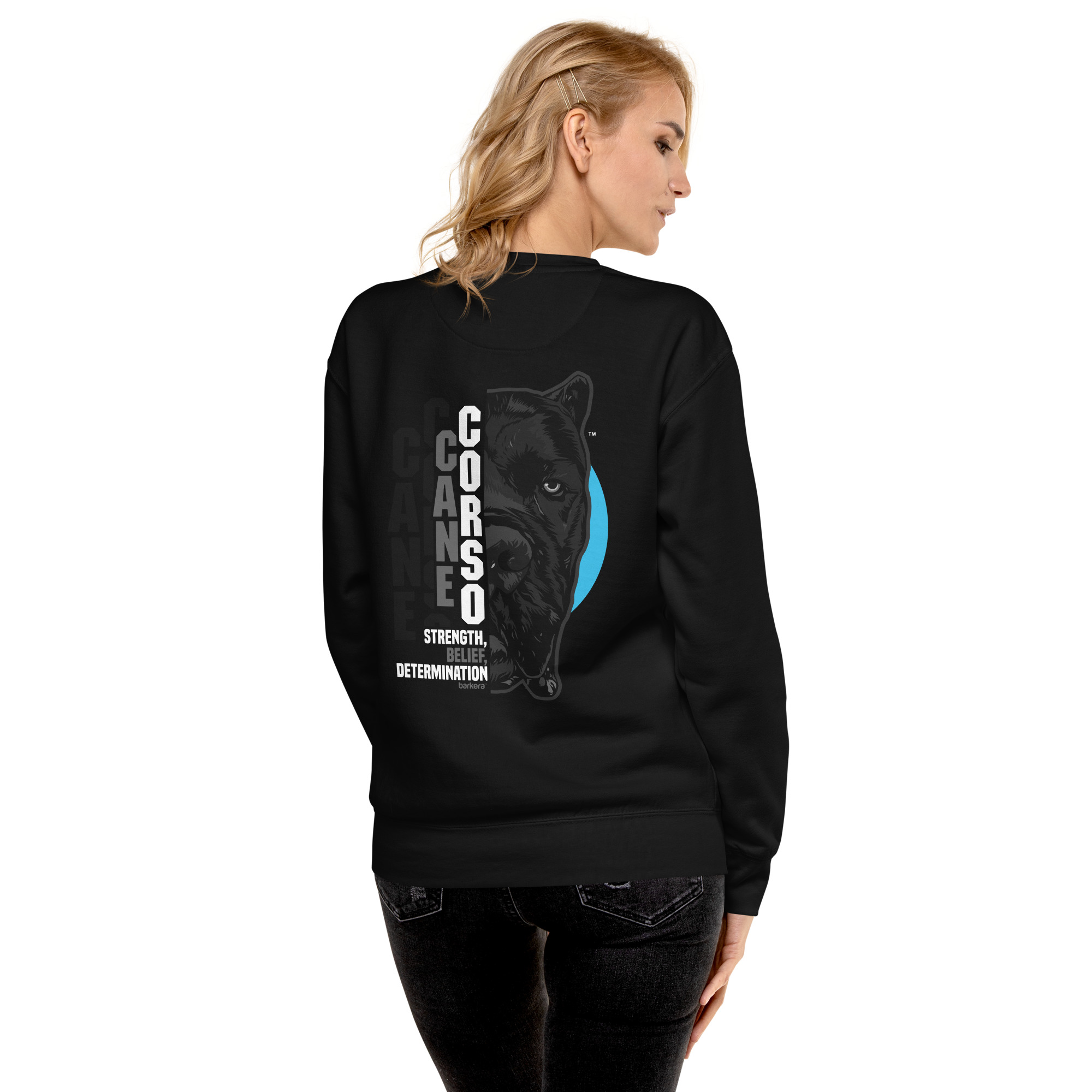 unisex-premium-sweatshirt-black-back-651c69a3d1904.jpg