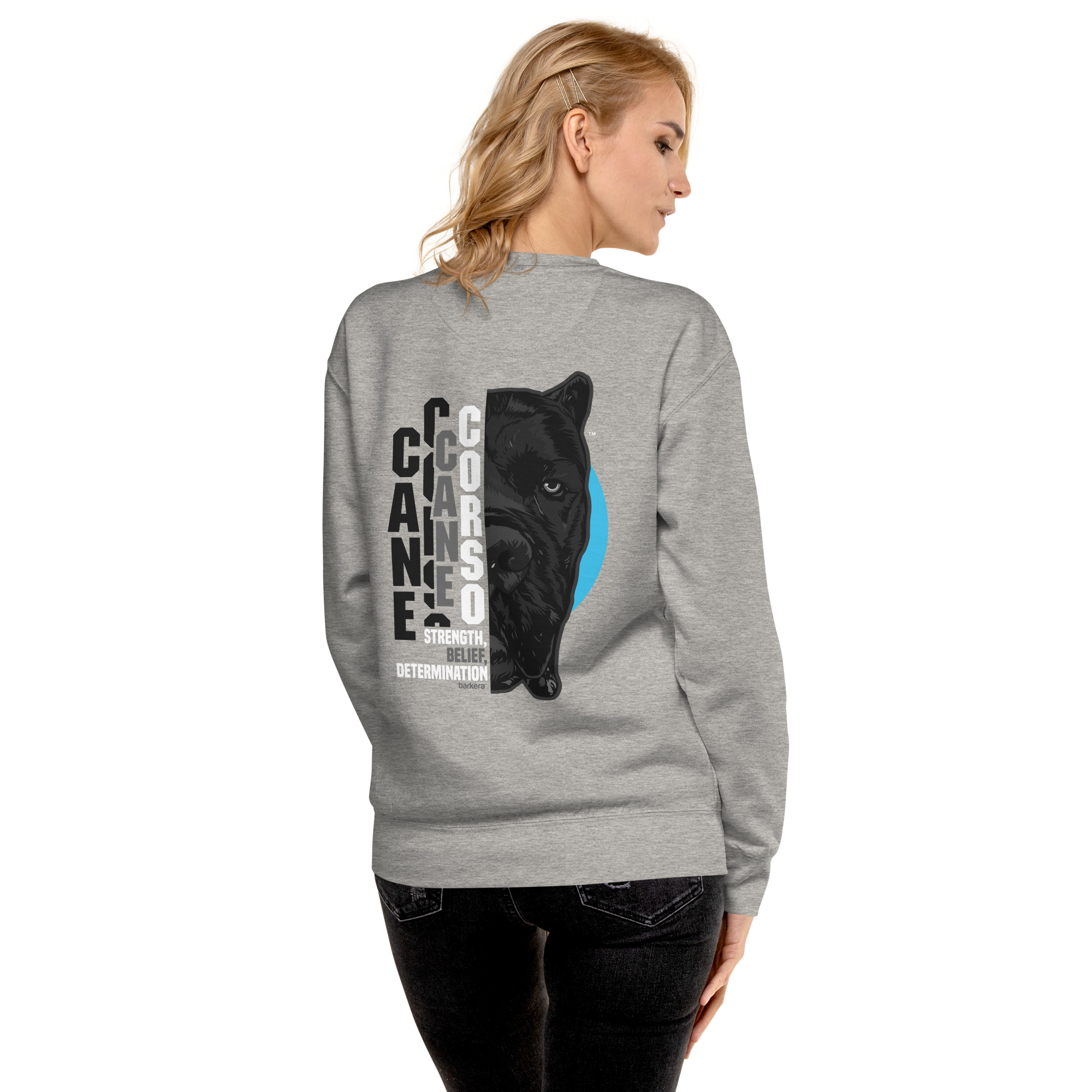 unisex-premium-sweatshirt-carbon-grey-back-651c69a3d0518.jpg