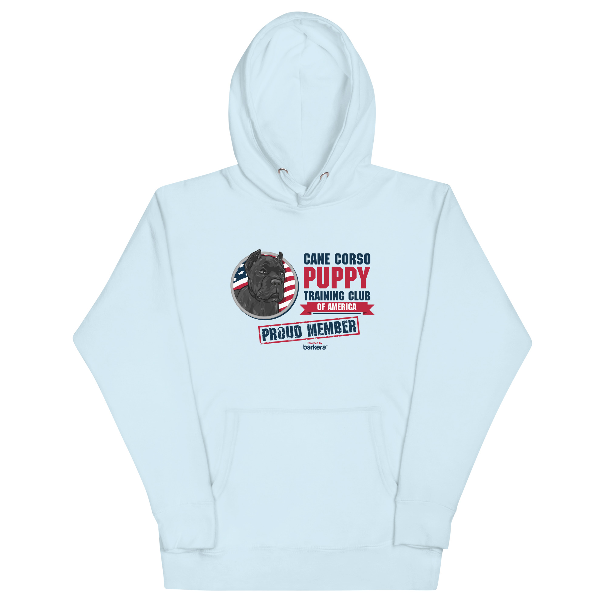 unisex-premium-hoodie-sky-blue-front-663e4dd440f25.jpg