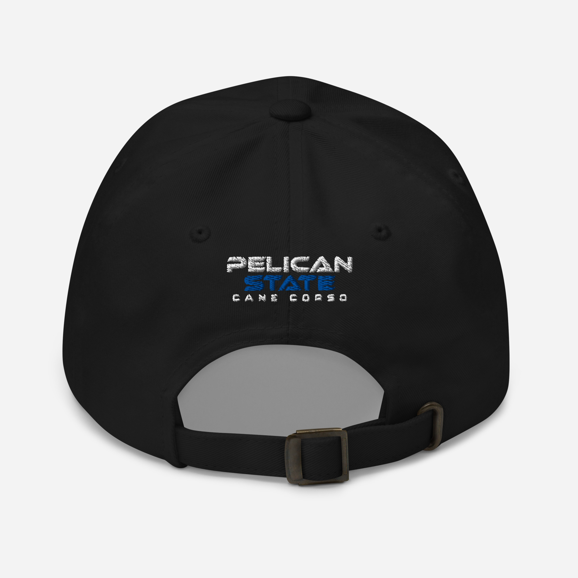 classic-dad-hat-black-back-68332187e1525.jpg