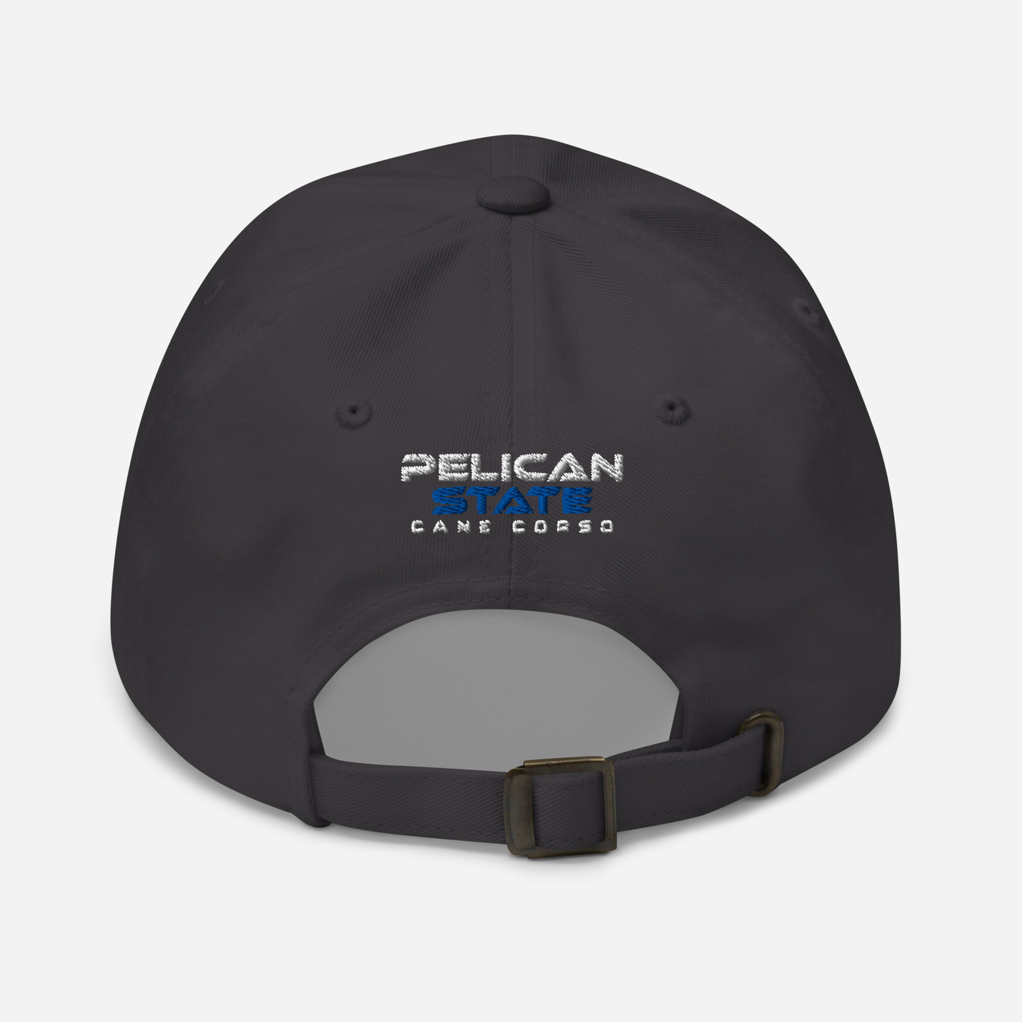 classic-dad-hat-dark-grey-back-68332187e6372.jpg