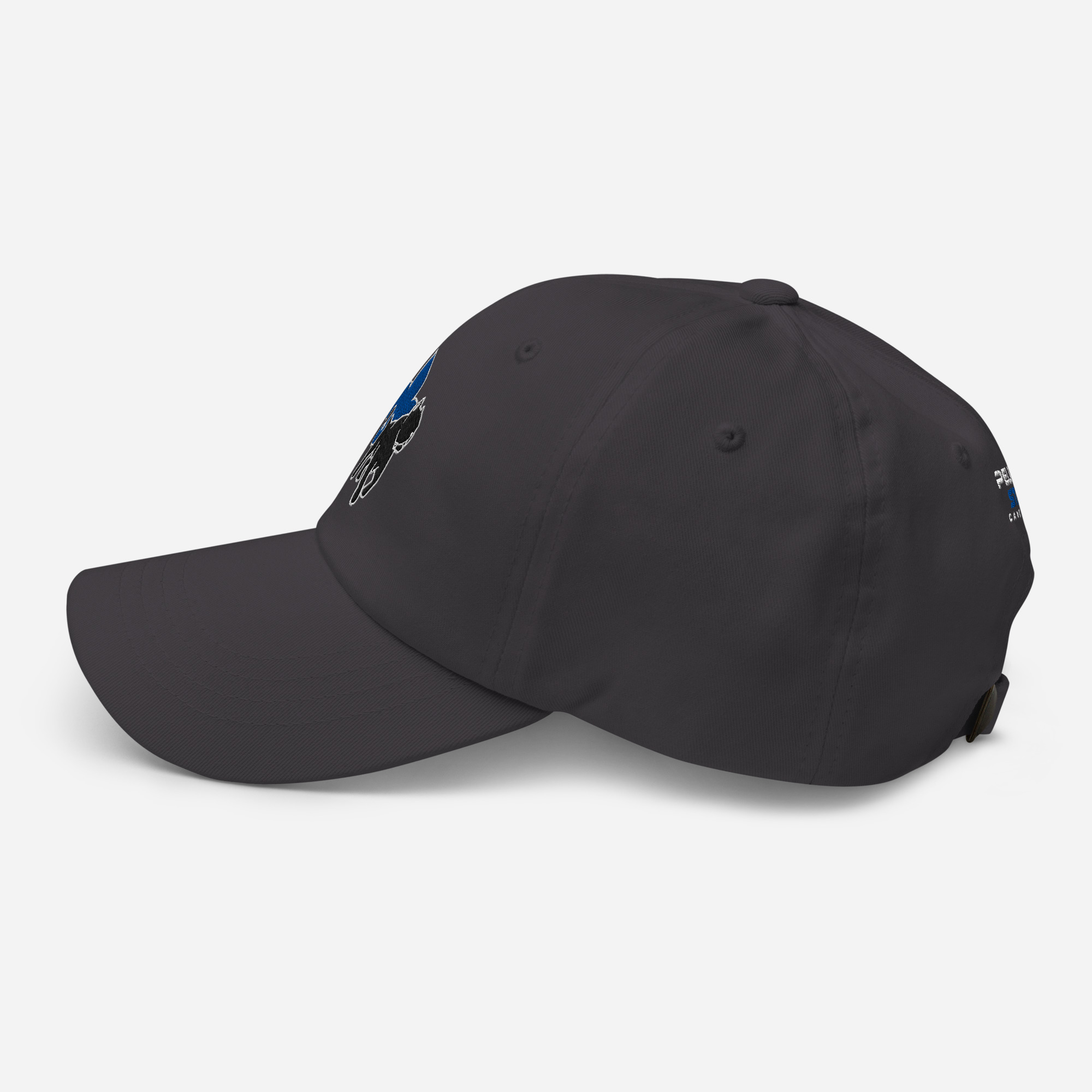 classic-dad-hat-dark-grey-left-side-68332187e54e8.jpg