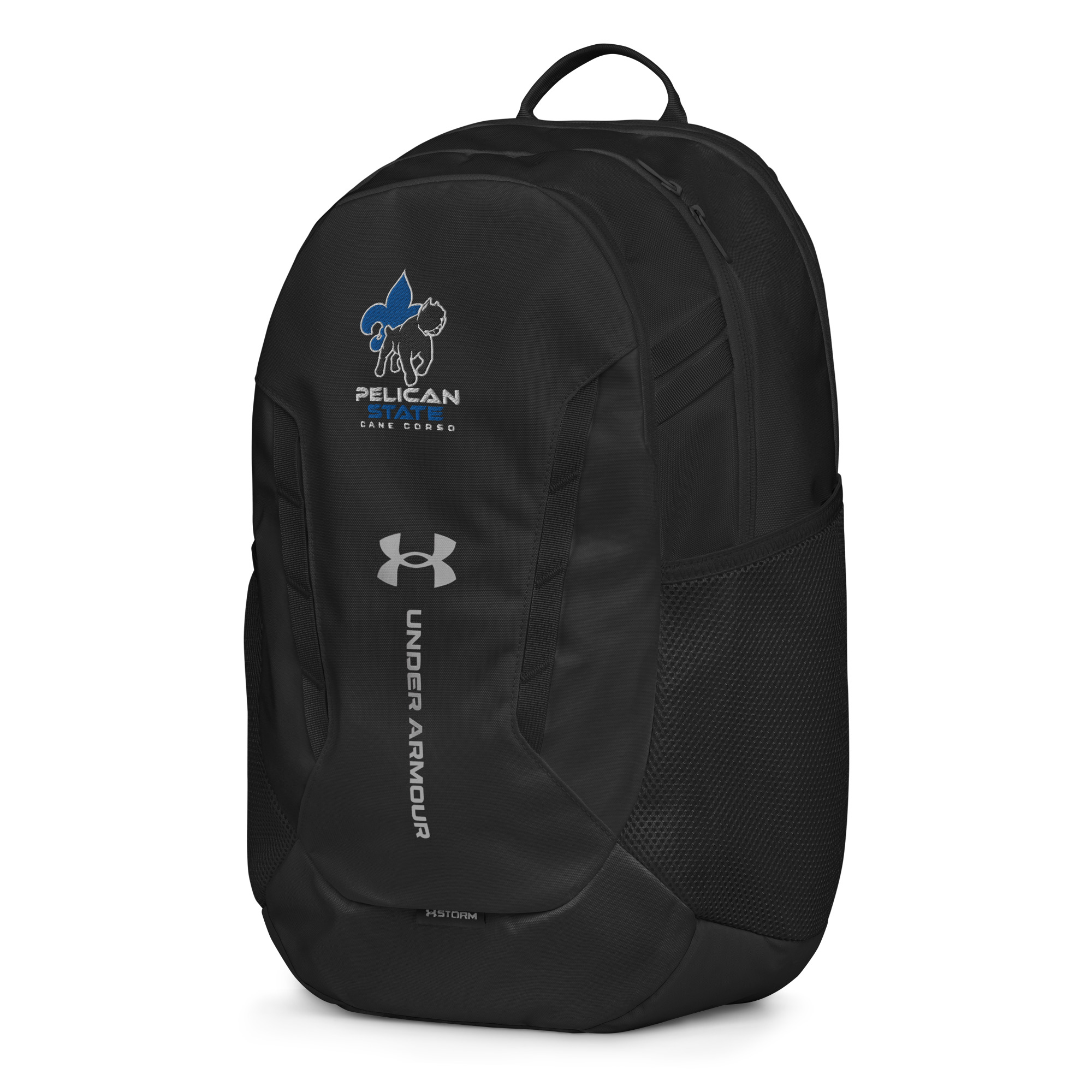 under-armour-backpack-black-left-front-683322be49824.jpg