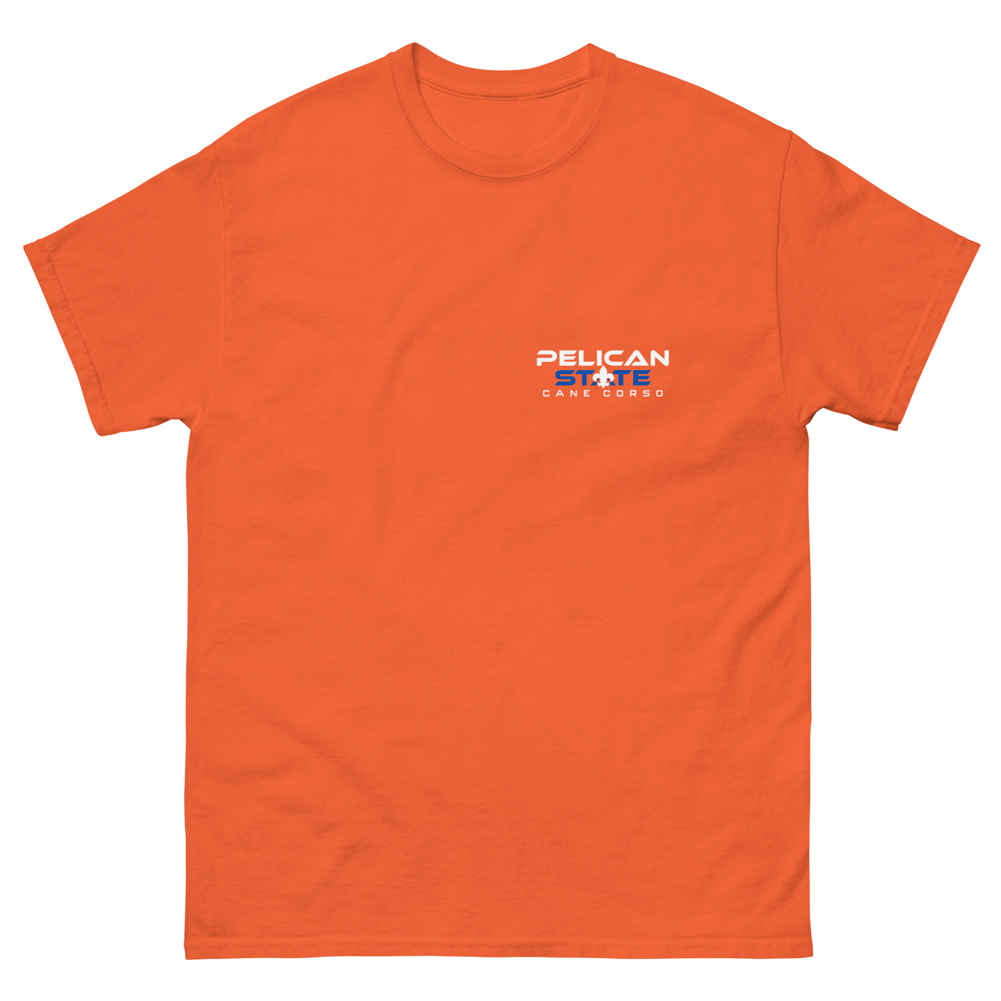 unisex-classic-tee-orange-front-683321decf980.jpg