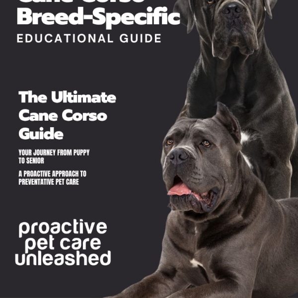 Cane Corso Breed-Specific Educational Guide