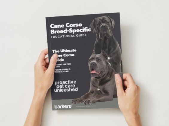 Corso Edu Guide Images