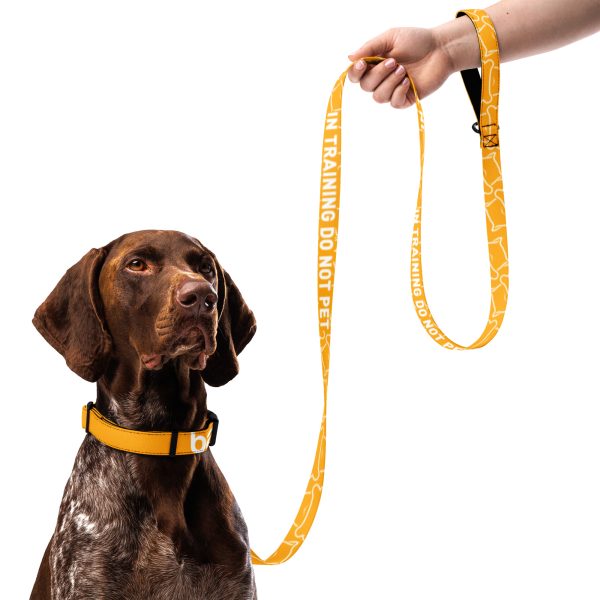 Barkera Pet collar & leash